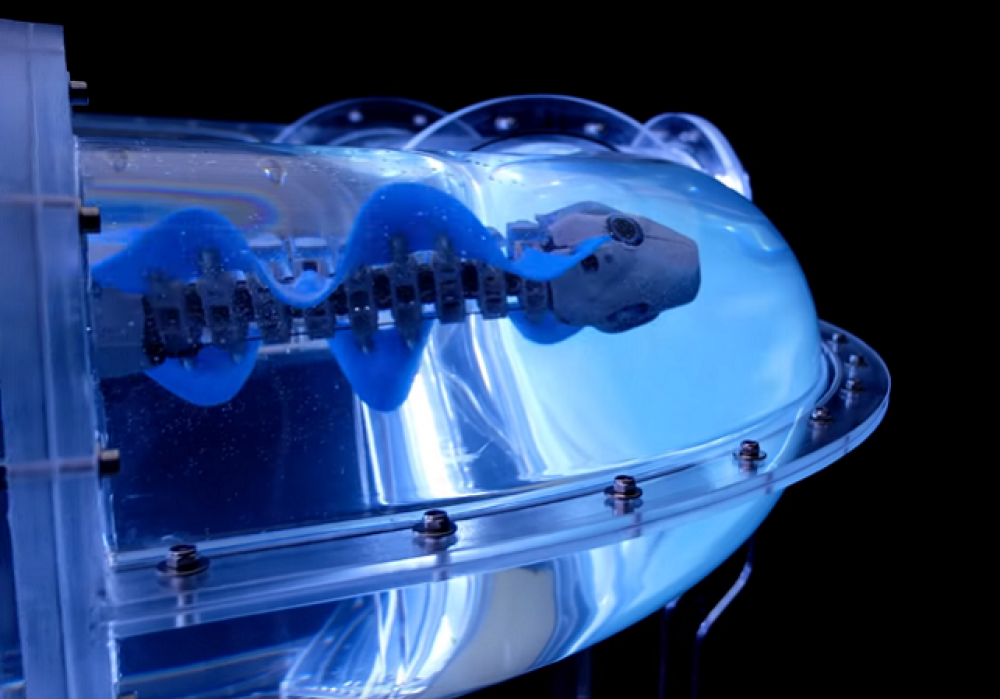 BionicFinWave - autonomer Unterwasserroboter von FESTO - WAiSCH