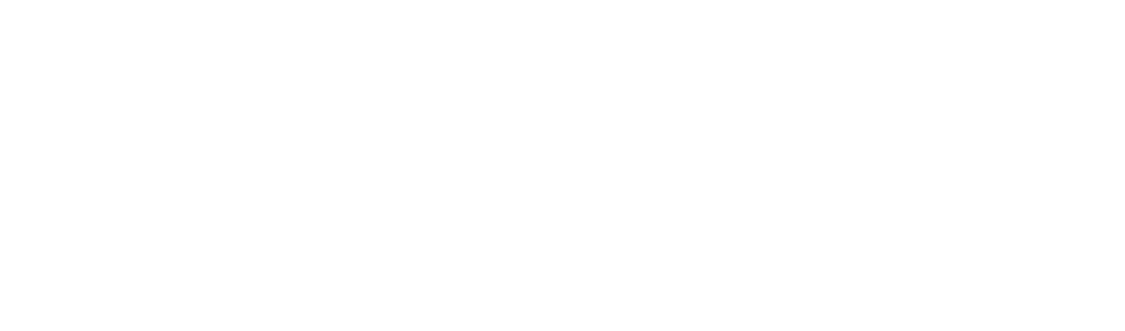 WAiSCH Logo - _WEISS